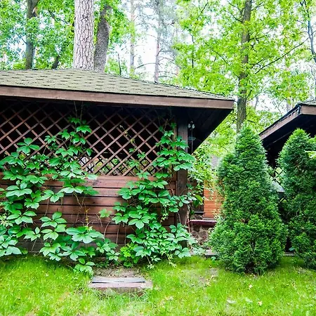 Kolyba House Kyjev
